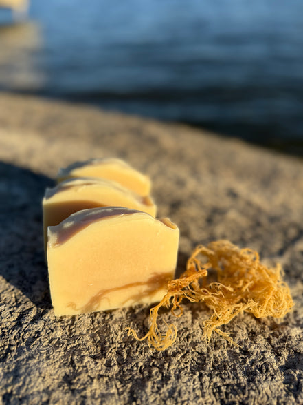 Ginger + Sea Moss