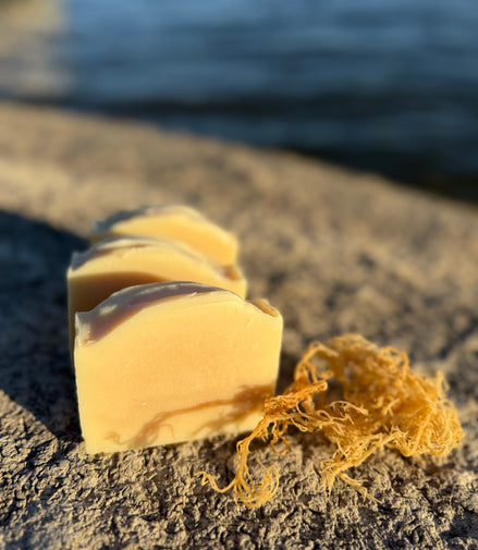 Ginger + Sea Moss
